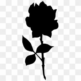 Silhouette At Getdrawings Com - Portable Network Graphics, HD Png Download - cracking png