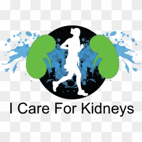 Graphic Design, HD Png Download - kidneys png
