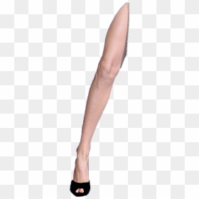 Tights, HD Png Download - leg png