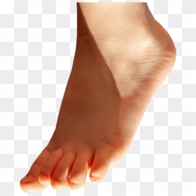 Toe, HD Png Download - leg png