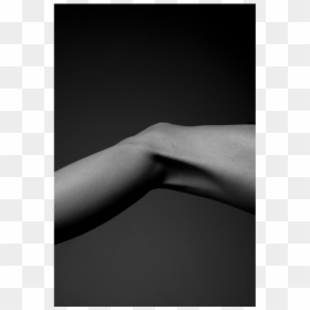 Leg Png, Transparent Png - leg png