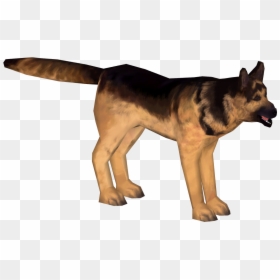 Old German Shepherd Dog, HD Png Download - german shepherd png