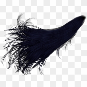Black Hair Png Transparent, Png Download - long hair png