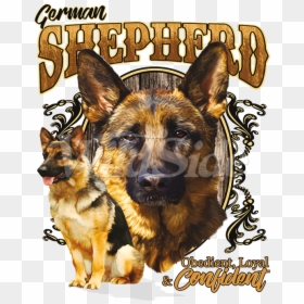 King Shepherd, HD Png Download - german shepherd png