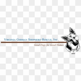 Va German Shepherd Rescue, HD Png Download - german shepherd png