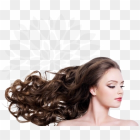 Spread Out Hair Png, Transparent Png - long hair png