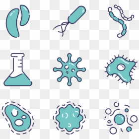 Ecommerce Product Catalog Icon, HD Png Download - bacteria png