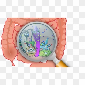 Bacterias En Tracto Gastrointestinal, HD Png Download - bacteria png