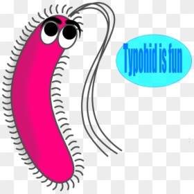 Cilia And Flagella Cartoon, HD Png Download - bacteria png