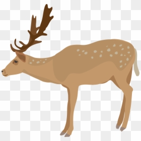 Deer Clipart No Background, HD Png Download - deer head silhouette png