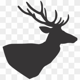Deer, HD Png Download - deer head silhouette png