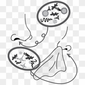 Line Art, HD Png Download - bacteria png