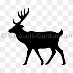 Animal Silhouette Deer Png, Transparent Png - deer head silhouette png