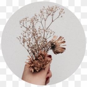 Light Brown Flower Aesthetic, HD Png Download - flowers png tumblr