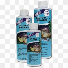 Bacteria For Aquarium, HD Png Download - bacteria png