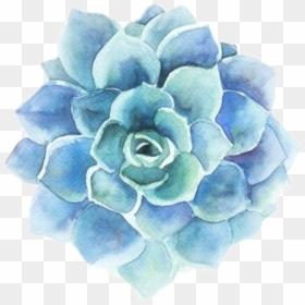 Blue Aesthetic Stickers Flower, HD Png Download - flowers png tumblr