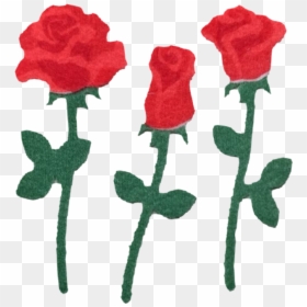 Garden Roses, HD Png Download - flowers png tumblr