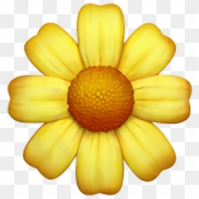 Yellow Flower Emoji, HD Png Download - flowers png tumblr