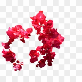 Red Flowers For Photoshop, HD Png Download - flowers png tumblr