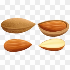 Almonds Clipart Png, Transparent Png - badam png