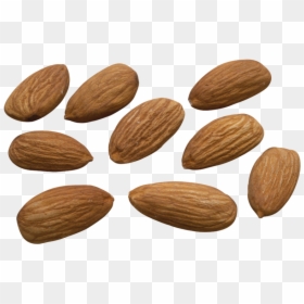 Almond High Resolution, HD Png Download - badam png