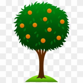 Orange Tree Clipart, HD Png Download - green mango png