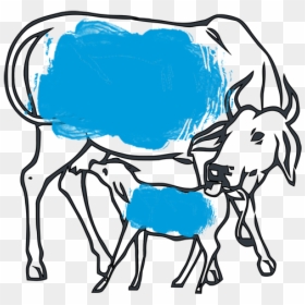 Cow And Calf Drawing, HD Png Download - indian cow png