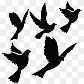 White Pigeon Png, Transparent Png - white pigeon png
