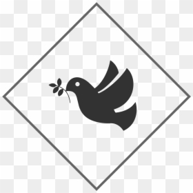 Pigeons And Doves, HD Png Download - white pigeon png
