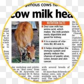 News About Cow Animal Husbandry Collecting Centers, HD Png Download - indian cow png
