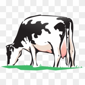 Deworming Diagram Of Cattle, HD Png Download - indian cow png