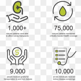 Graphic Design, HD Png Download - kidneys png