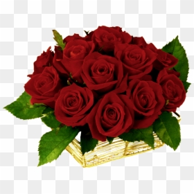 Rose-family - Pixiz Bunch Of Roses, HD Png Download - rosas rosas png