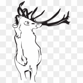 Deer Clipart , Png Download - Deer, Transparent Png - deer vector png