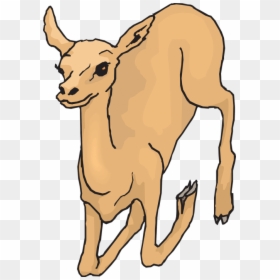 Deer Clipart , Png Download - Deer, Transparent Png - deer vector png