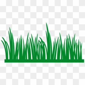 Line Of Grass Clipart, HD Png Download - grama verde png