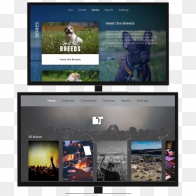 Website, HD Png Download - debri png