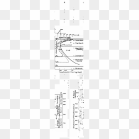 Ttt Curve For Steel, HD Png Download - corchetes decorativos png