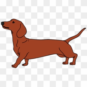 Dachshund Vector Graphics Dog Breed Puppy Illustration - Dachshund Silhouette, HD Png Download - wiener dog png