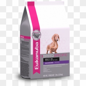 Eukanuba Dachshund Nutrition Dog Food - Nourriture Pour Chihuahua Adulte, HD Png Download - wiener dog png