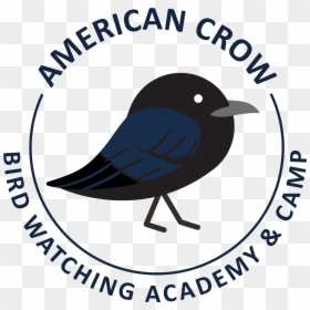 Bugil High School, HD Png Download - crow feather png