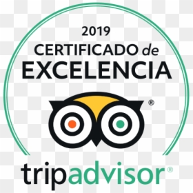 Tripadvisor Certificate Of Excellence, HD Png Download - guias de flores png