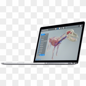 Macbook Png Image - Led-backlit Lcd Display, Transparent Png - apple products png