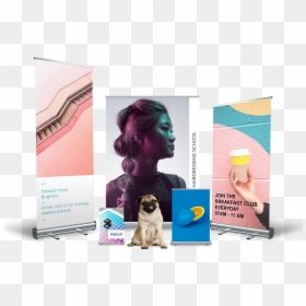 3 Roller Banners Side By Side - Pug, HD Png Download - side banner png