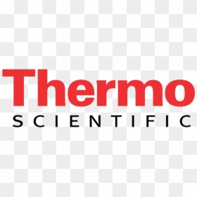 Thermo Fisher Scientific, HD Png Download - silla de rey png