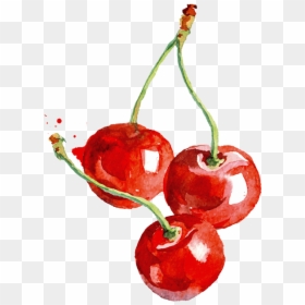 Cerezas - Cherry Teacher Gift, HD Png Download - cereza png