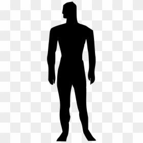 Human Body Homo Sapiens Human Figure Silhouette Clip - Human Body Clip Art, HD Png Download - man body png