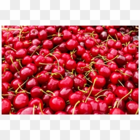 Cereza - Cherries, HD Png Download - cereza png