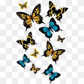 Beautiful Butterfly Png File , Png Download - Beautiful Hd Butterfly Png, Transparent Png - beautiful butterfly png