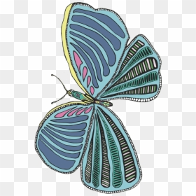 Lycaenid, HD Png Download - beautiful butterfly png